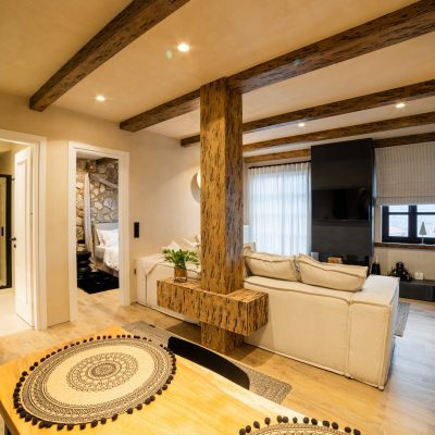 Premium Suite